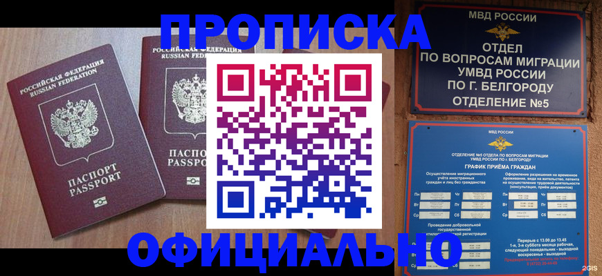 найти адрес прописки в Сланцах